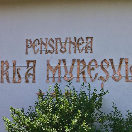 Perla Muresului Alba Iulia Buitenkant foto